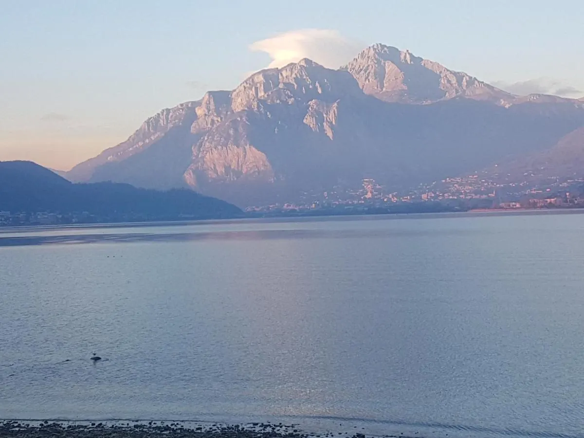 Ai Due Vecchi Ulivi Bed & Breakfast Garlate Italy